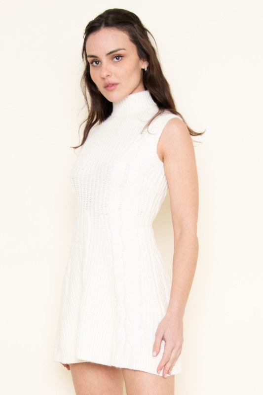 Winter Knit Mini Dress